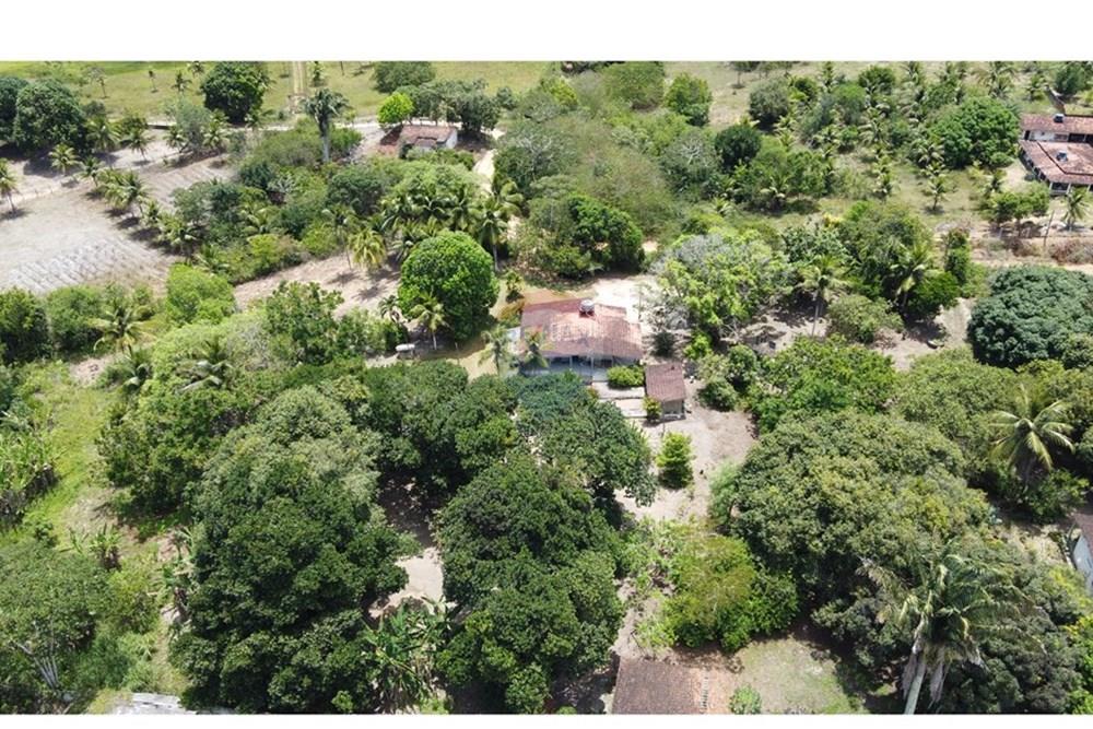 Chácara / Sítio / Fazenda - Venda - Conde , Paraíba - DJI_0270.JPG - 720871004-216