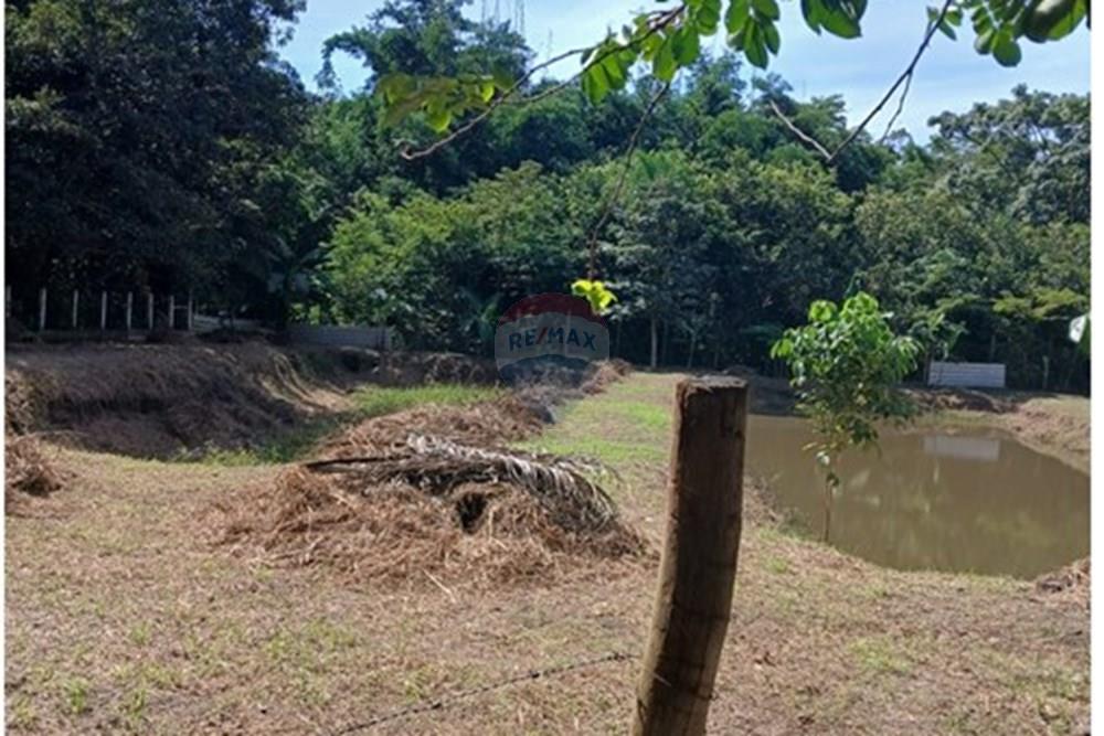 Chácara / Sítio / Fazenda - Venda - Rondonópolis , Mato Grosso - WhatsApp Image 2025-05-12 at 16.32.18 (7).jpeg - 720611007-91