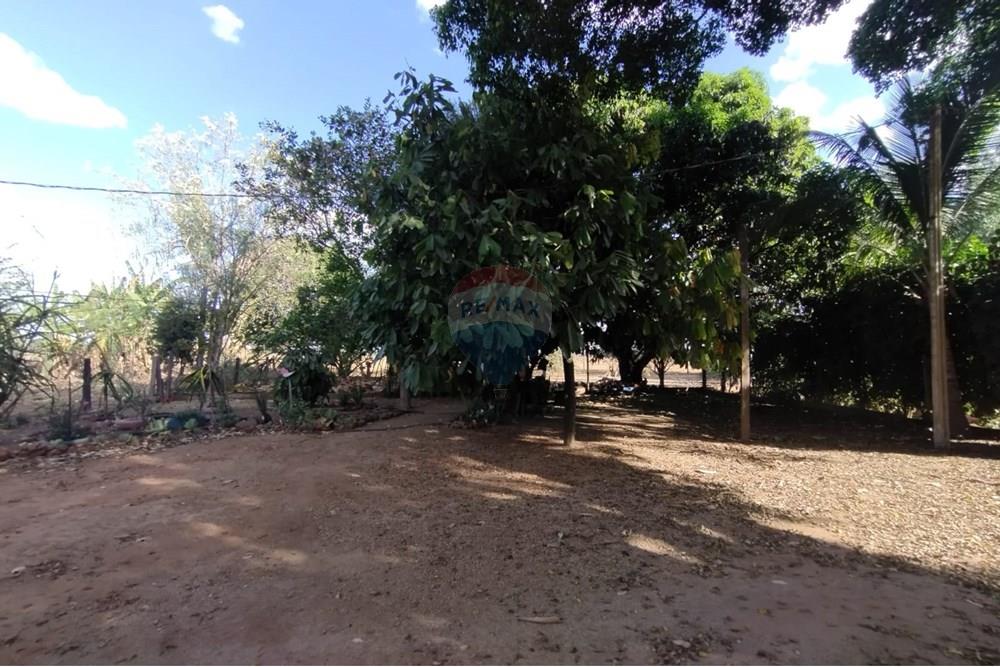 Chácara / Sítio / Fazenda - Venda - Sinop , Mato Grosso - WhatsApp Image 2025-08-07 at 14.46.31 (1).jpeg - 721561039-35