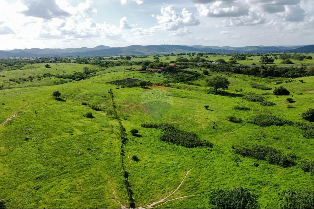 Chácara / Sítio / Fazenda - Venda - Riachão do Bacamarte , Paraíba - dji_fly_20250215_151048_493_1739643160949_photo_optimized.jpg - 722011055-39