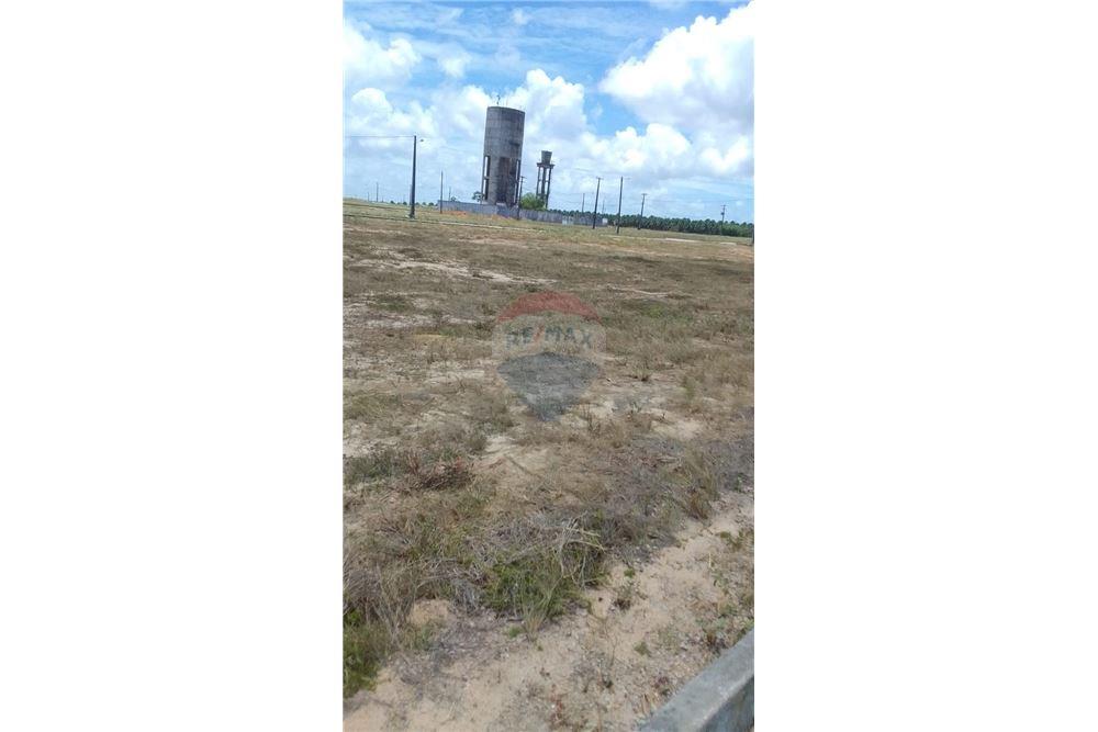 Terreno - Venda - São José de Mipibu , Rio Grande do Norte - 5 - 720811011-80