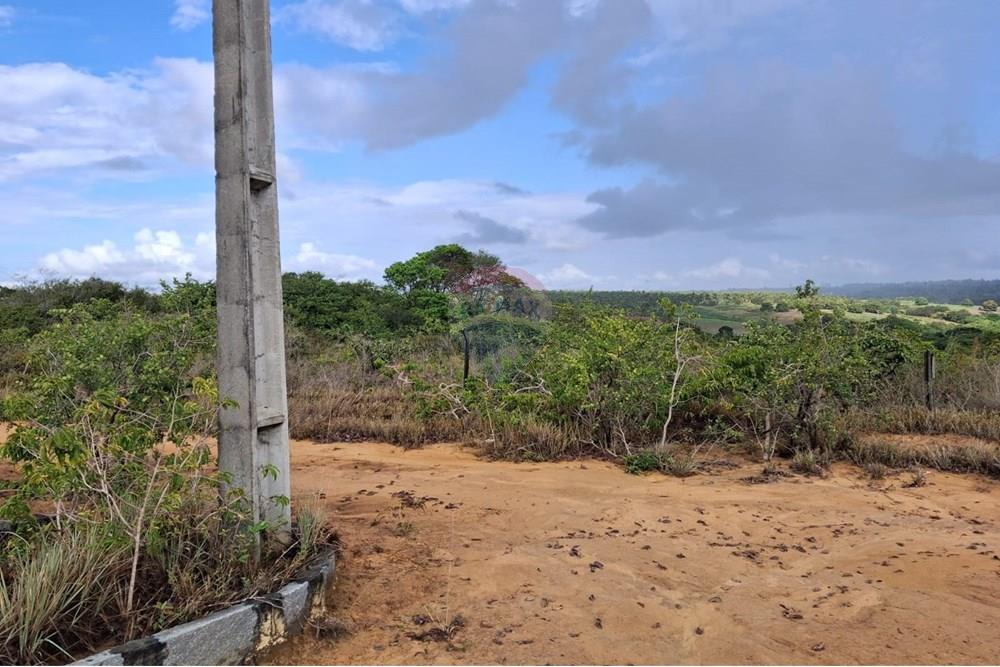 Terreno - Venda - Conde , Paraíba - 92d6eb67-ba9b-4701-ae15-a336b12532ae.jpeg - 720871044-31