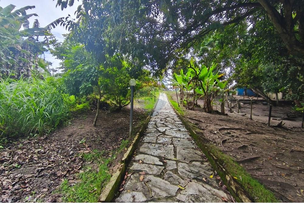 Terreno - Venda - Conde , Paraíba - 80dd3eb3-eb15-48da-9f9d-8b3d8700ee10.jpg - 720871056-15