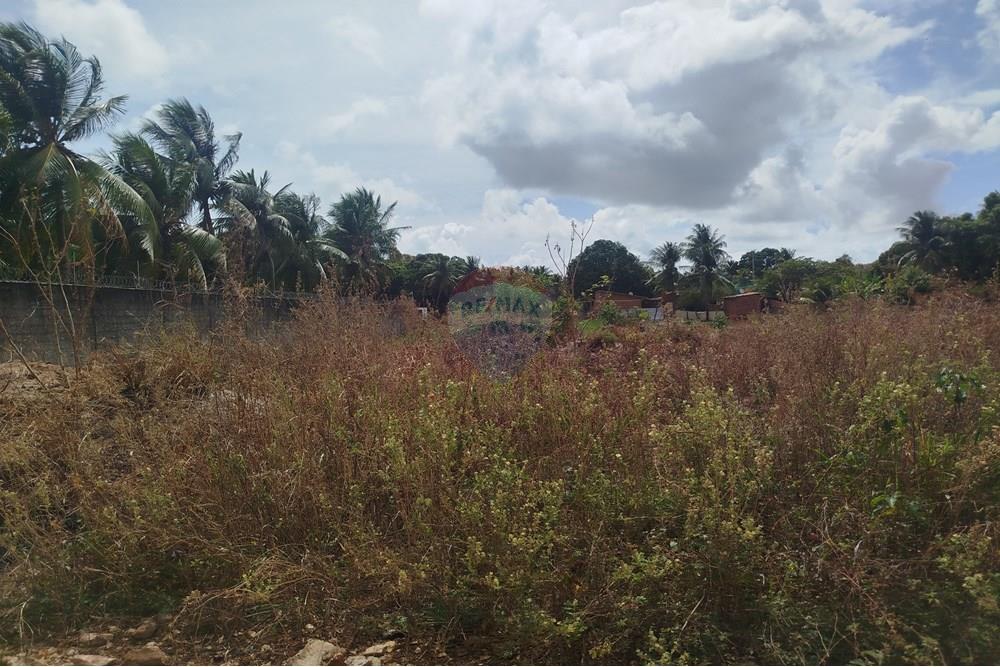 Terreno - Venda - Nísia Floresta , Rio Grande do Norte - WhatsApp Image 2024-11-22 at 21.32.41.jpeg - 720891013-74