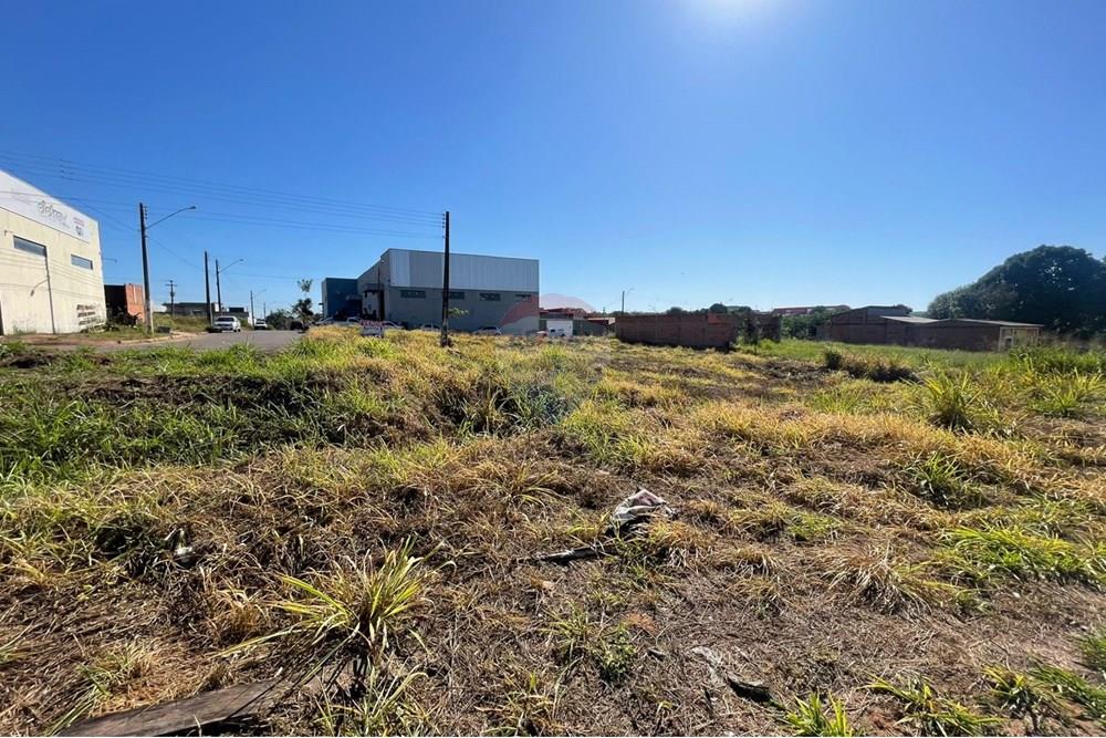 Terreno - Venda - Cacoal , Rondônia - WhatsApp Image 2025-07-14 at 12.01.17.jpeg - 722311012-3