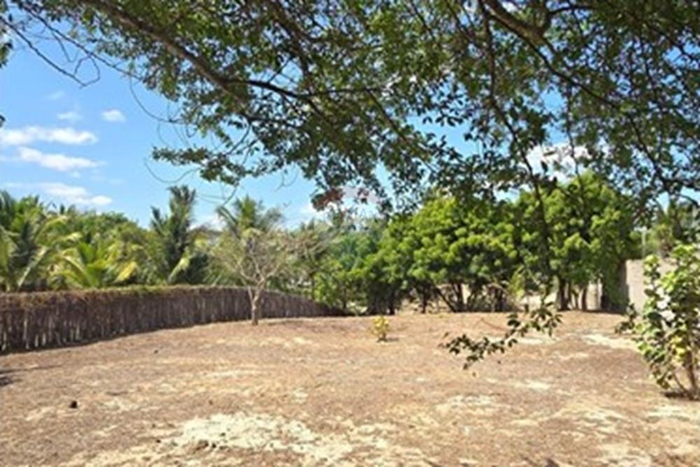 Terreno - Venda - Cruz , Ceará - 20250806_095711 (1).jpg - 722341001-74