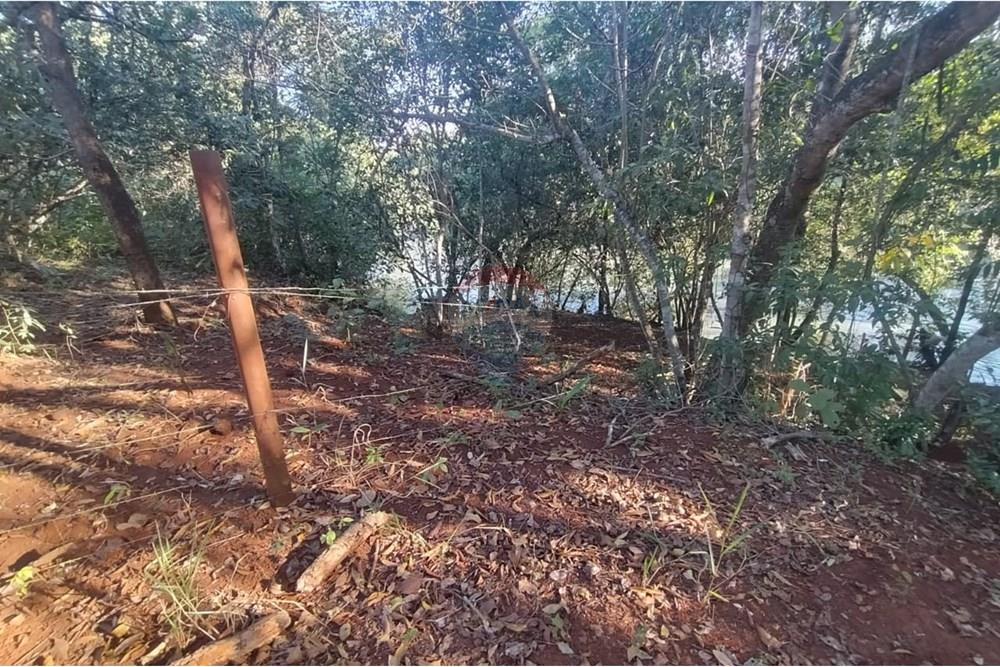 Terreno - Venda - Aparecida do Rio Doce , Goiás - Imagem do WhatsApp de 2025-06-21 à(s) 06.55.34_31f75cdd.jpg - 722291014-100