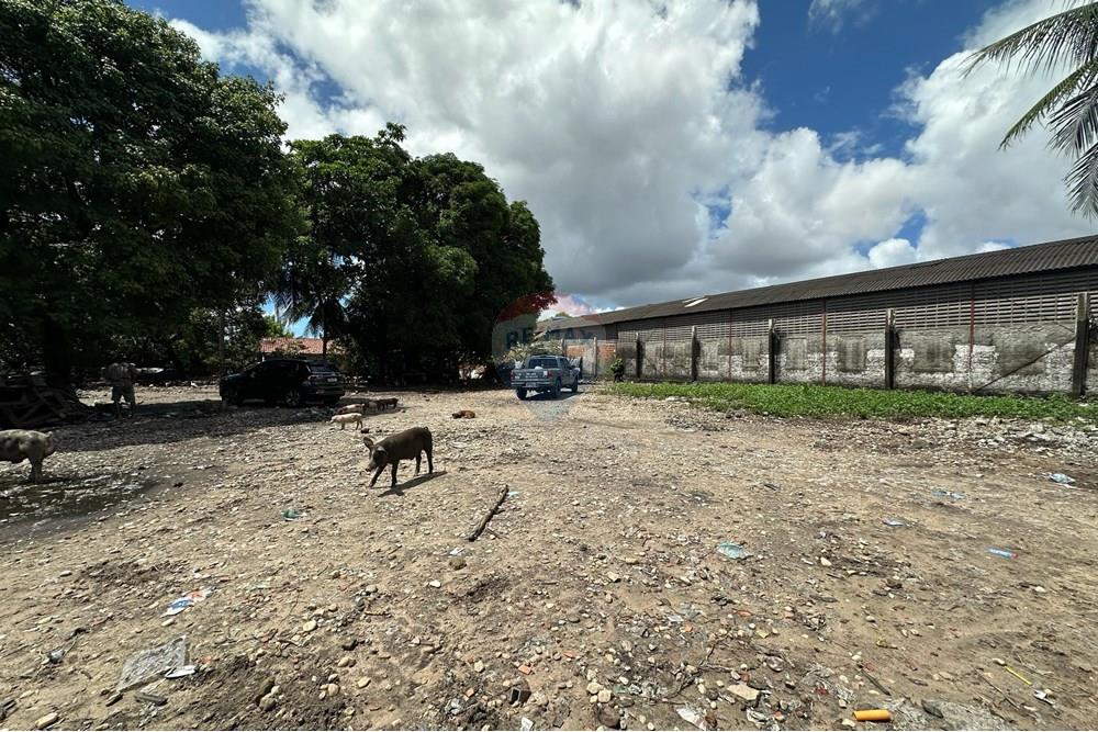 Terreno - Alugar - Fortaleza , Ceará - WhatsApp Image 2025-04-24 at 11.14.02.jpeg - 721621017-82