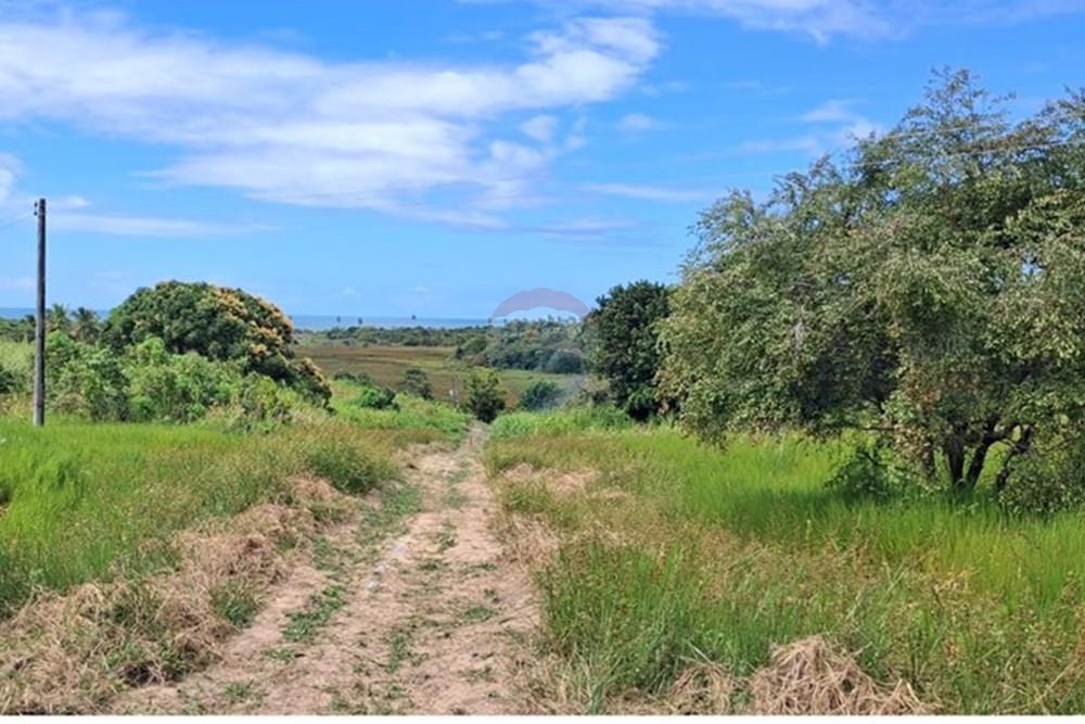 Terreno - Venda - Pitimbu , Paraíba - 39f19f80-1213-4102-a653-a4ef74da1559.jpeg - 720871044-90