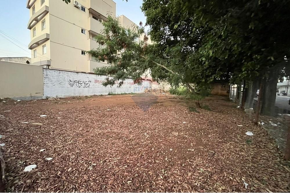 Terreno - Venda - Goiânia , Goiás - Imagem do WhatsApp de 2025-09-26 à(s) 19.41.09_416ff7bd.jpg - 722271011-19