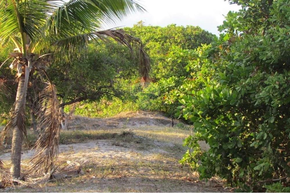 Terreno - Venda - Nísia Floresta , Rio Grande do Norte - 8.jpeg - 720811063-21
