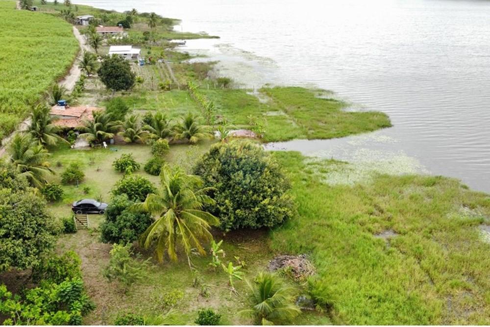 Chácara / Sítio / Fazenda - Venda - Alhandra , Paraíba - dji_fly_20250907_151546_875_1757268960785_photo_optimized.jpg - 722011055-48