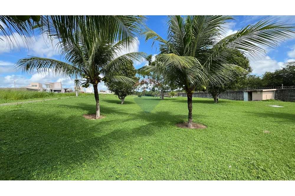 Casa de Condomínio - Venda - Parnamirim , Rio Grande do Norte - WhatsApp Image 2024-06-05 at 10.25.35 (1).jpeg - 720891155-217