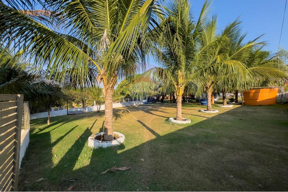 Chácara / Sítio / Fazenda - Venda - Porto Velho , Rondônia - N 13.jpg - 721551019-230