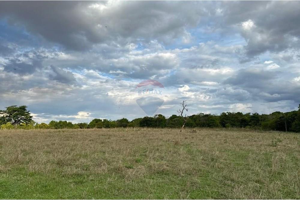 Chácara / Sítio / Fazenda - Venda - Rio Verde , Goiás - 2.jpg - 722291014-34