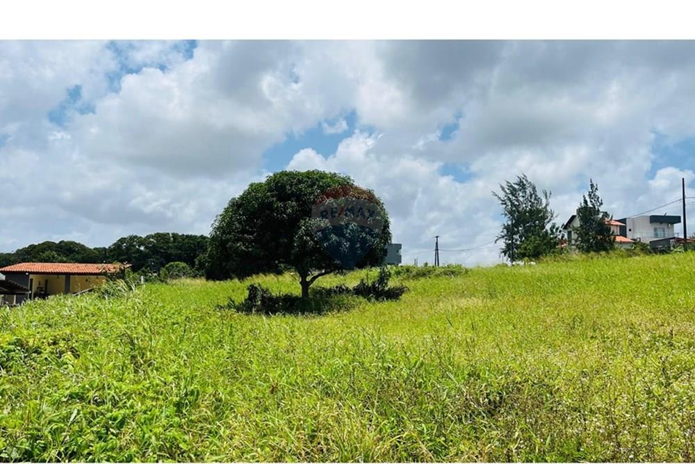 Terreno - Venda - Conde , Paraíba - WhatsApp Image 2025-09-24 at 13.37.00 (3).jpeg - 720871004-211