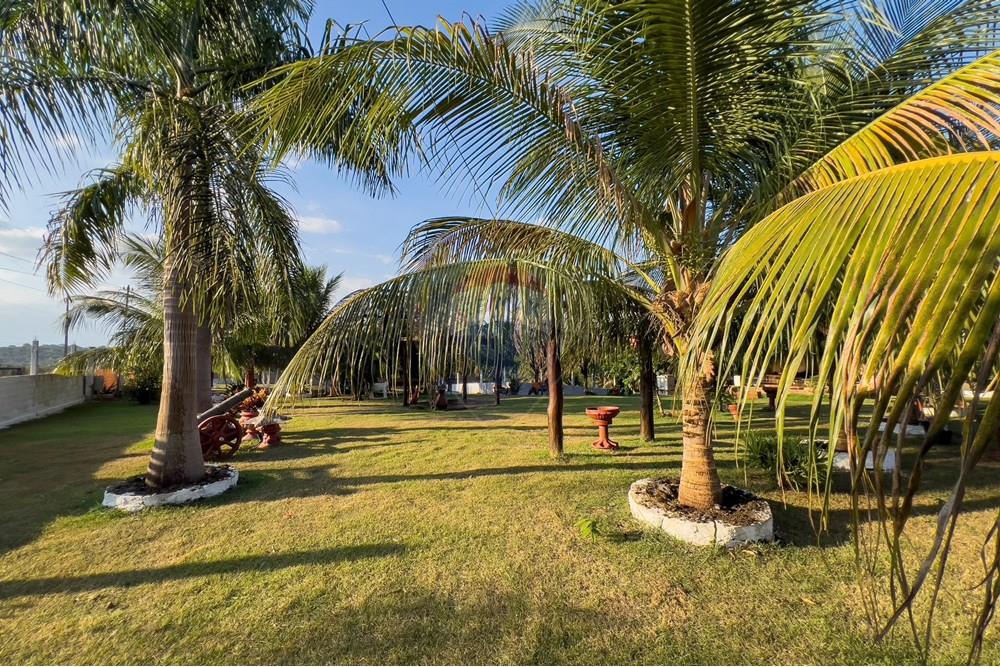 Chácara / Sítio / Fazenda - Venda - Porto Velho , Rondônia - N 20.jpg - 721551019-230