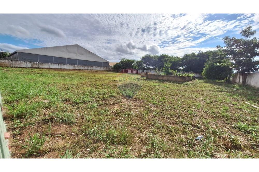 Terreno - Venda - Porto Velho , Rondônia - WhatsApp Image 2025-01-22 at 16.15.20.jpeg - 721551047-2