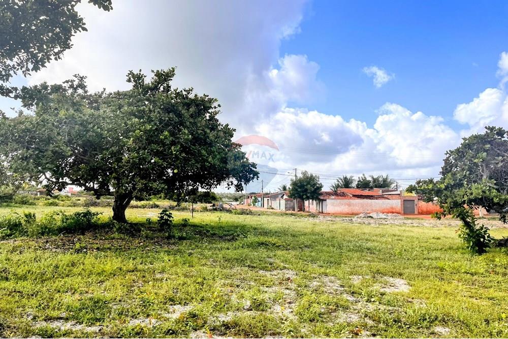 Terreno - Venda - São Miguel do Gostoso , Rio Grande do Norte - WhatsApp Image 2025-06-28 at 09.43.34 (3).jpeg - 720891024-212