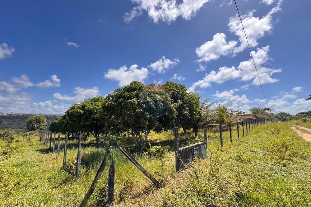 Terreno - Venda - Conde , Paraíba - 06.jpg - 720471011-115