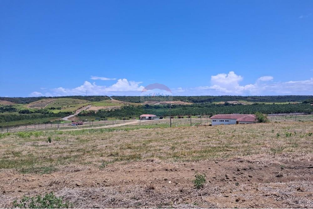 Terreno - Venda - Pitimbu , Paraíba - 2a796814-8e20-4799-b05c-ac7a3e89919c.jpeg - 720871044-34