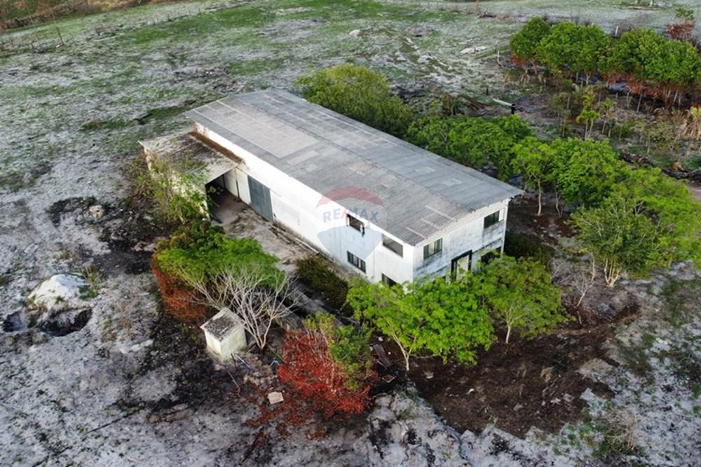 Galpão - Alugar - Pedras de Fogo , Paraíba - dji_fly_20241220_163218_301_1734723146799_photo_optimized.jpg - 722011055-40