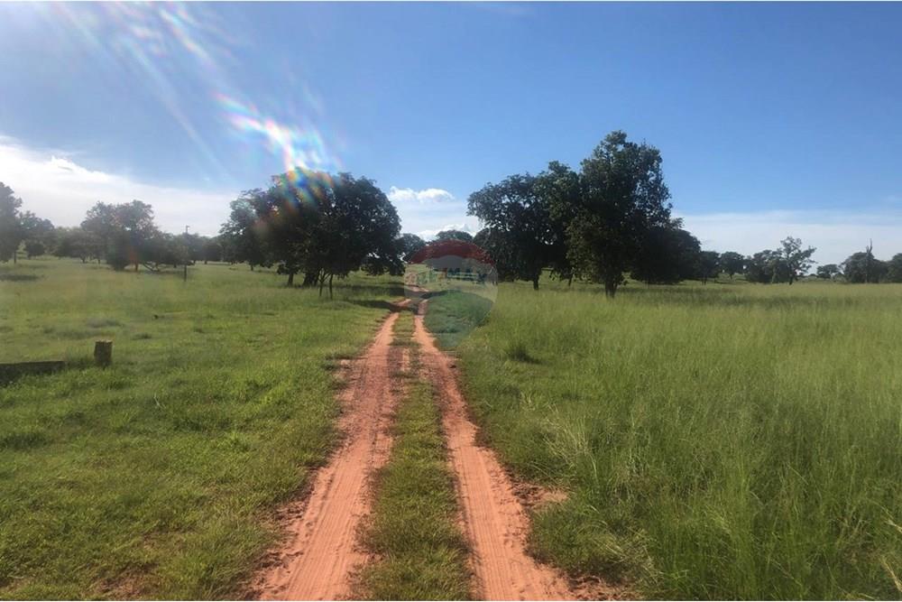 Fazenda - Venda - Guiratinga , Mato Grosso - IMG-20250812-WA0129.jpg - 721981068-2