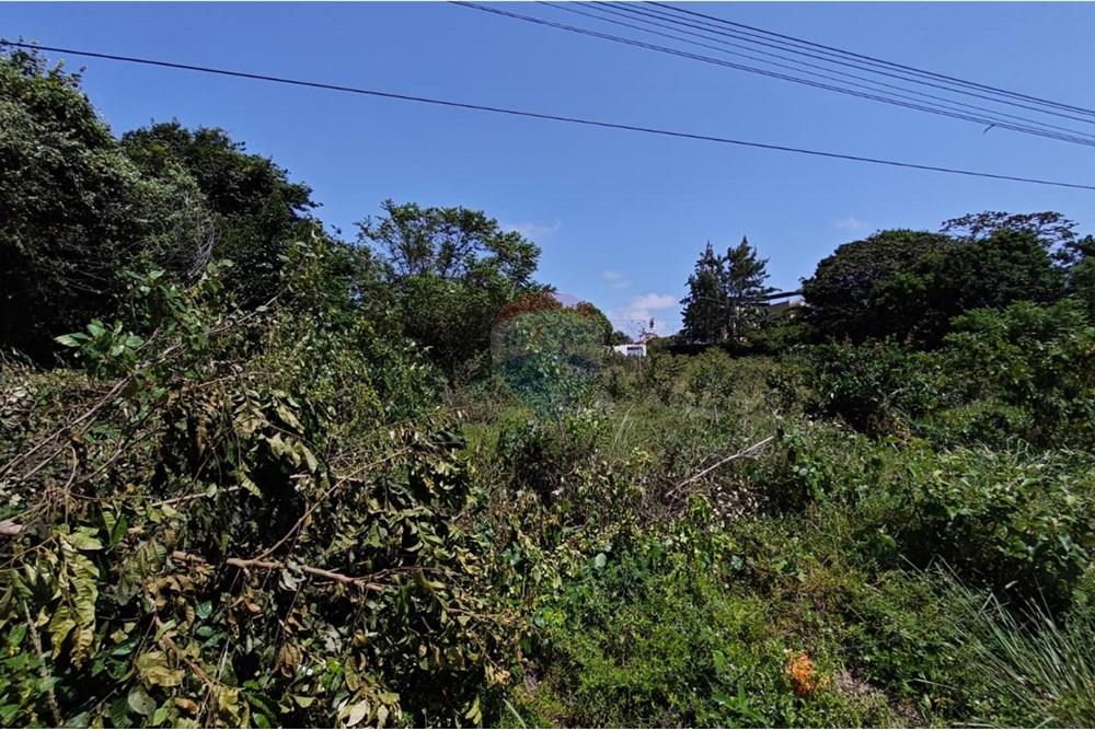 Terreno - Venda - Conde , Paraíba - WhatsApp Image 2025-09-19 at 09.55.11 (1).jpeg - 720871009-198