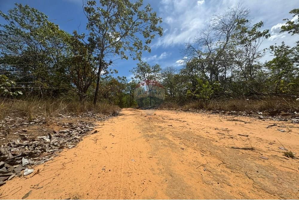 Agro - Venda - Carolina , Maranhão - WhatsApp Image 2025-08-07 at 09.46.19.jpeg - 720991042-3