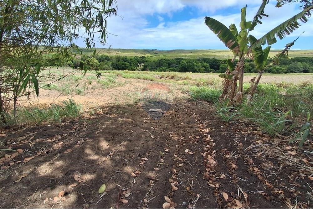 Terreno - Venda - Pitimbu , Paraíba - 357fae90-67fd-4b59-9ba9-392441dd9bf2.jpeg - 720871044-34