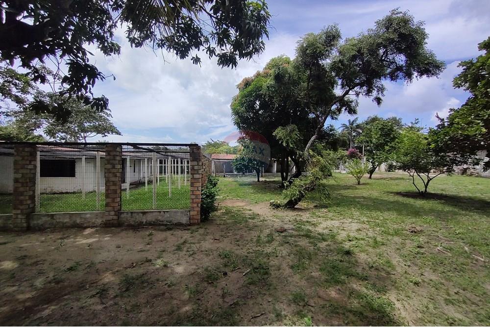 Chácara / Sítio / Fazenda - Venda - Parnamirim , Rio Grande do Norte - IMG_20250404_104833414.jpg - 720731014-48