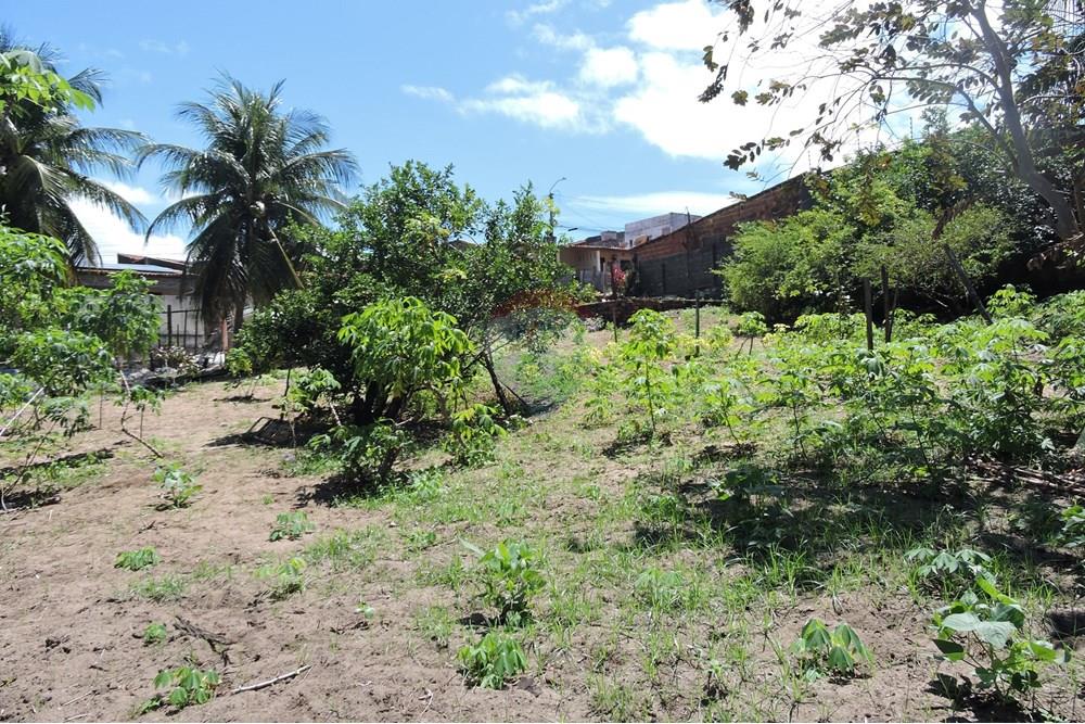 Terreno - Venda - Parnamirim , Rio Grande do Norte - DSCN4932.JPG - 720891150-66