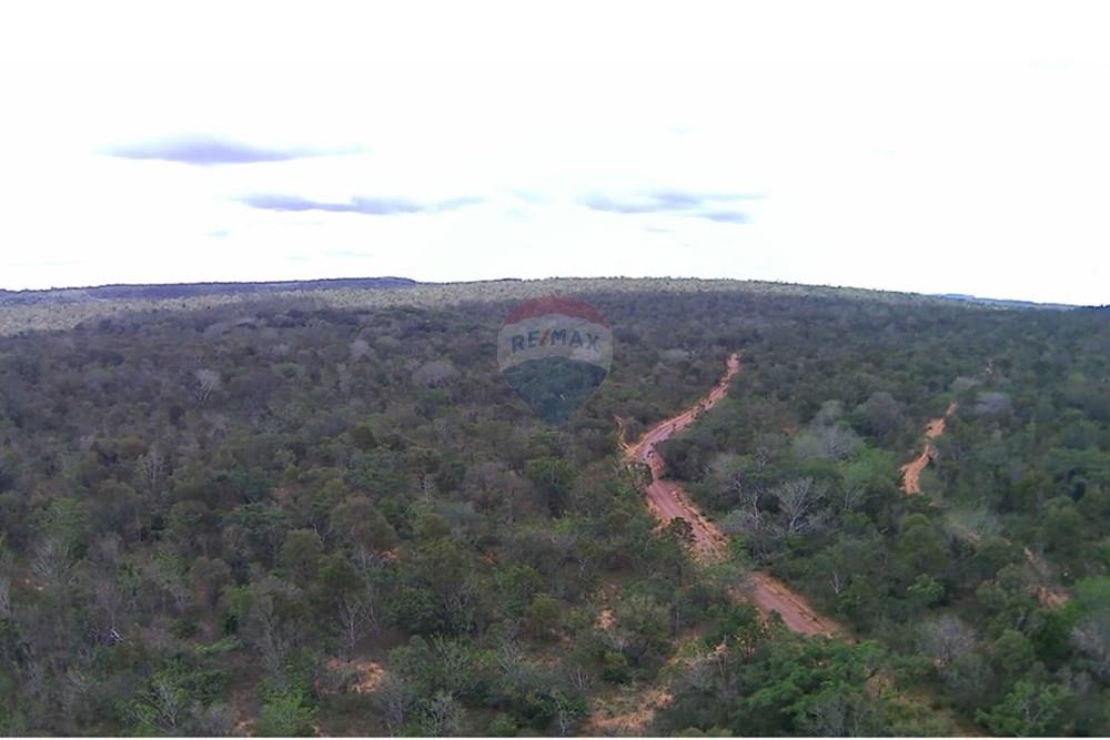 Fazenda - Venda - Babaçulândia , Tocantins - WhatsApp Image 2025-04-09 at 11.01.18.jpeg - 722171039-21