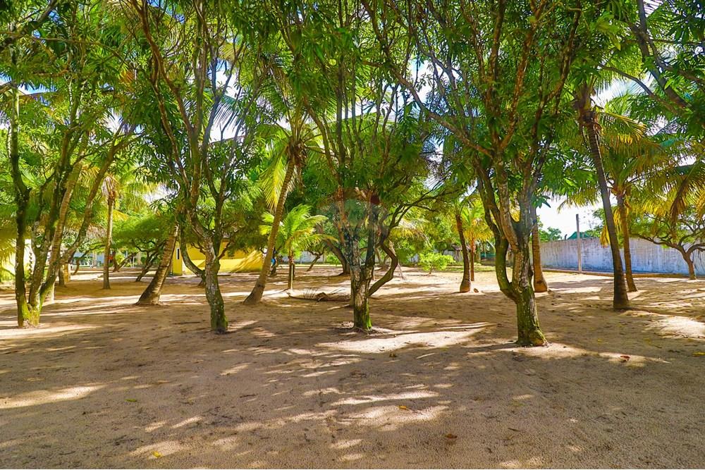 Chácara / Sítio / Fazenda - Venda - Nísia Floresta , Rio Grande do Norte - IMG_8450.jpg - 720891106-33