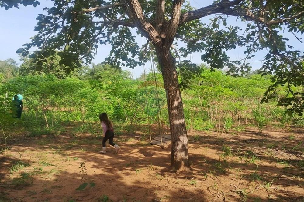 Chácara / Sítio / Fazenda - Venda - Rondonópolis , Mato Grosso - Imagem do WhatsApp de 2025-08-25 à(s) 16.49.15_39a63e36.jpg - 722261004-17