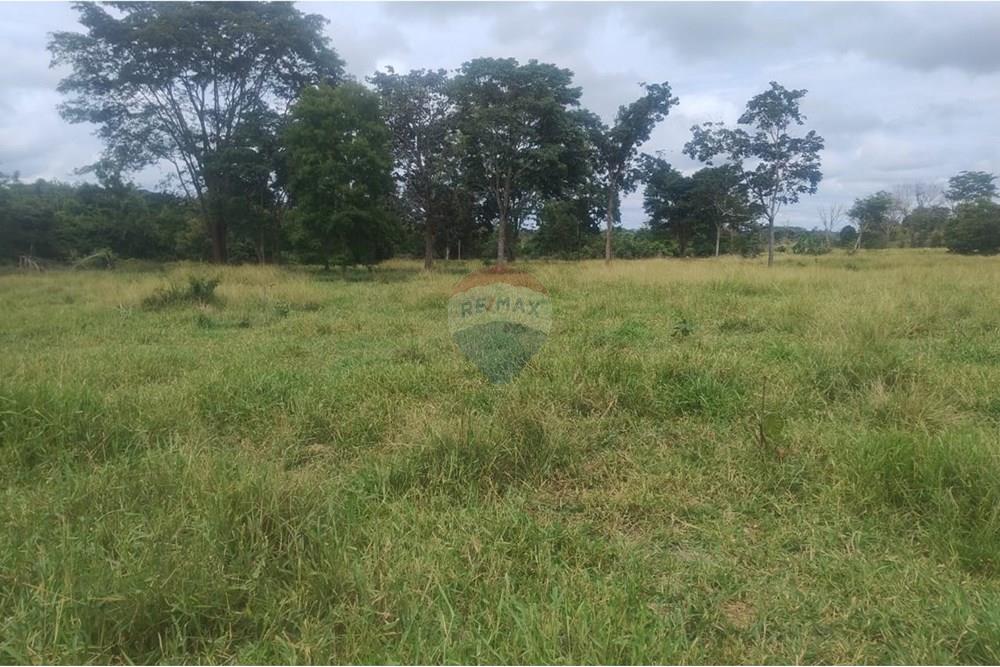 Chácara / Sítio / Fazenda - Venda - Confresa , Mato Grosso - IMG-20250926-WA0048.jpg - 720641046-10