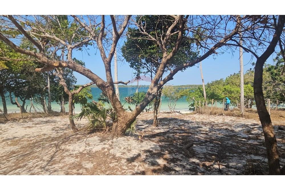 Terreno - Venda - Jijoca de Jericoacoara , Ceará - 20240923_142213.jpg - 722341001-43