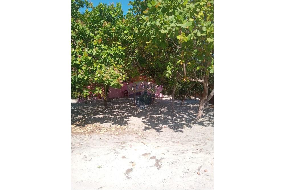 Chácara / Sítio / Fazenda - Venda - Parnaíba , Piauí - WhatsApp Image 2025-10-15 at 09.35.38.jpeg - 722361007-3