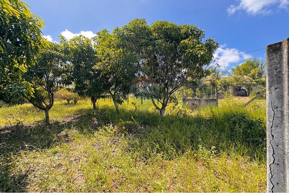 Terreno - Venda - Conde , Paraíba - 13.jpg - 720471011-115