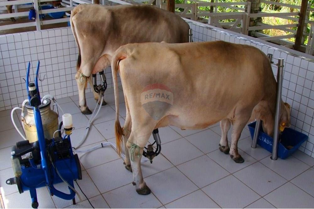 Terreno - Venda - Macaíba , Rio Grande do Norte - Natal_4-10-14-g-1024x768.jpg - 720621066-70