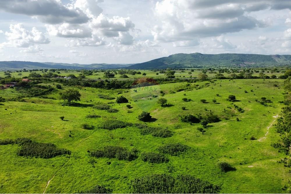 Chácara / Sítio / Fazenda - Venda - Riachão do Bacamarte , Paraíba - dji_fly_20250215_151042_492_1739643071687_photo_optimized.jpg - 722011055-39