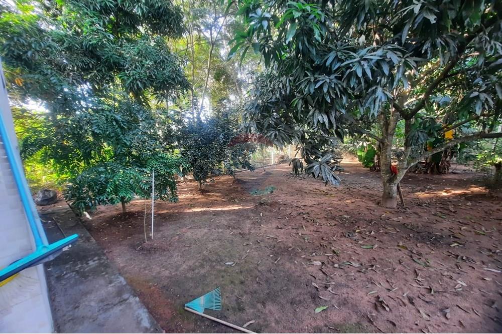 Chácara / Sítio / Fazenda - Venda - Rondonópolis , Mato Grosso - WhatsApp Image 2025-05-21 at 13.58.14 (1).jpeg - 721981029-30