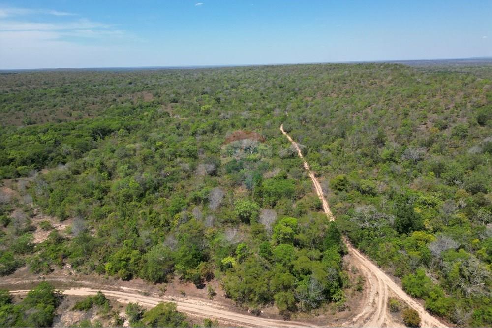 Agro - Venda - Carolina , Maranhão - WhatsApp Image 2025-08-28 at 17.45.07.jpeg - 720991042-3