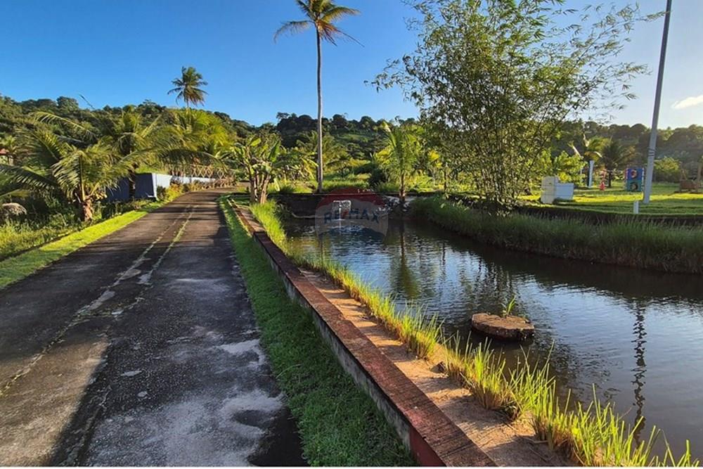 Chácara / Sítio / Fazenda - Venda - Alhandra , Paraíba - 20250724_162939.jpg - 722011055-42