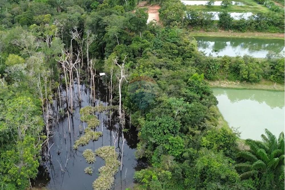 Chácara / Sítio / Fazenda - Venda - Novo Airão , Amazonas - Tanques de Peixes14.jpg - 720721055-29