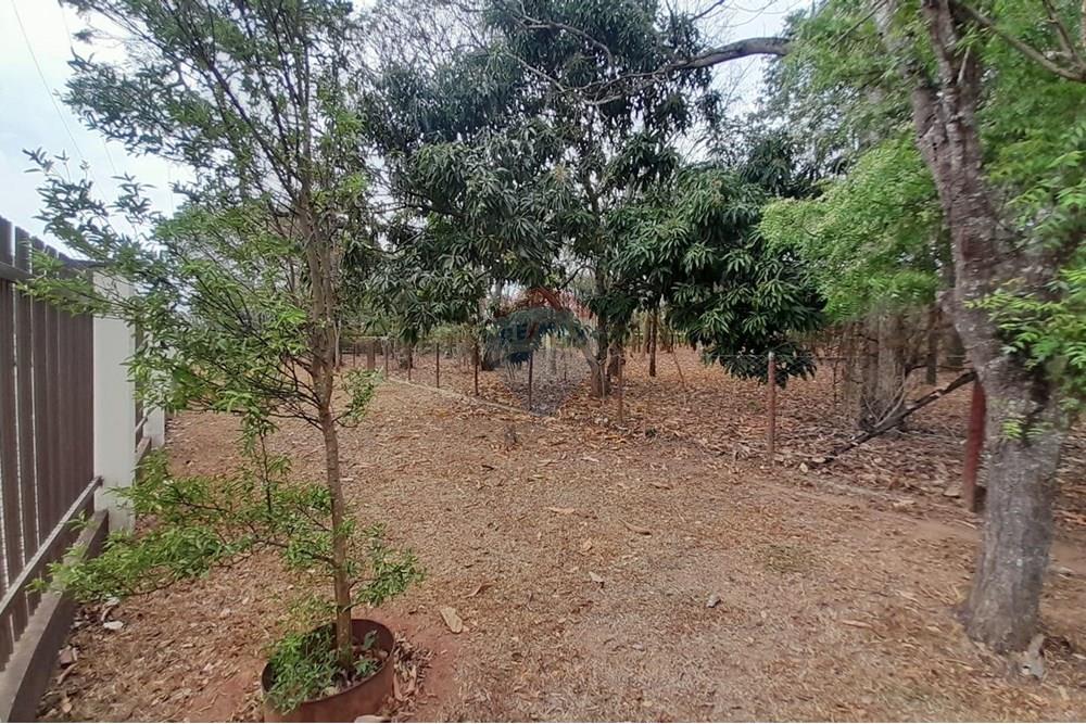 Chácara / Sítio / Fazenda - Venda - Nova Veneza , Goiás - WhatsApp Image 2025-10-08 at 10.28.25 (2).jpeg - 722271015-32