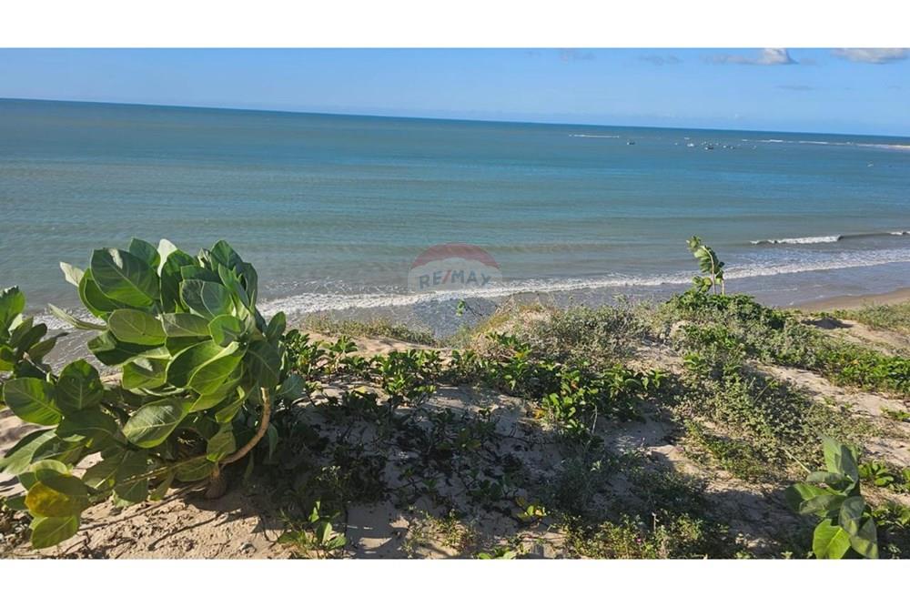 Terreno - Venda - São Miguel do Gostoso , Rio Grande do Norte - WhatsApp Image 2025-07-21 at 06.42.48 (2).jpeg - 720891215-8