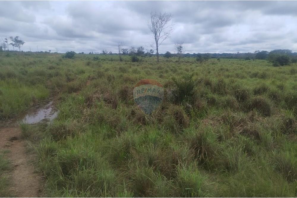 Chácara / Sítio / Fazenda - Venda - Confresa , Mato Grosso - IMG-20250926-WA0033 - Copia.jpg - 720641046-11