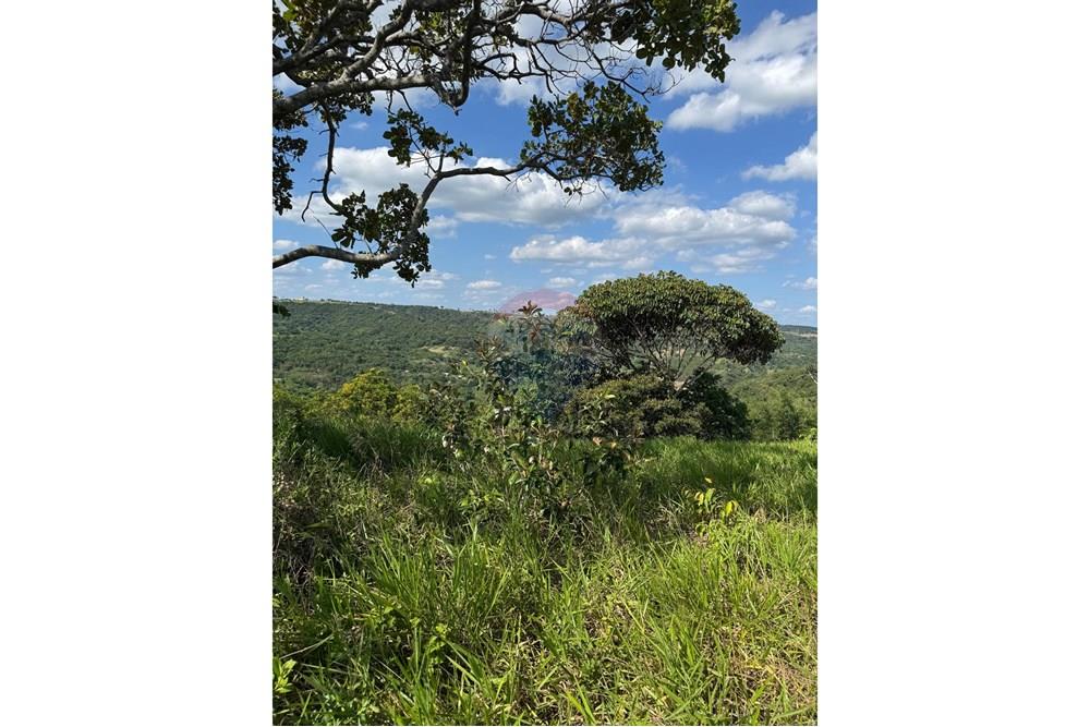 Terreno - Venda - Bananeiras , Paraíba - WhatsApp Image 2025-01-22 at 09.47.09 (1).jpeg - 720551002-74