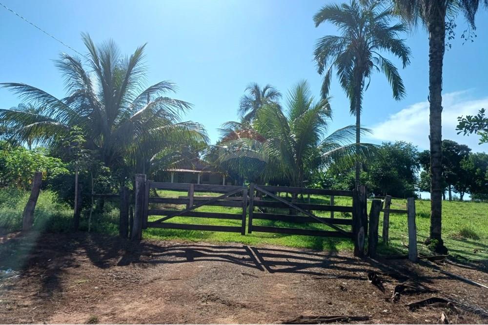 Chácara / Sítio / Fazenda - Venda - São José do Povo , Mato Grosso - WhatsApp Image 2025-04-03 at 17.01.46.jpeg - 722261017-2